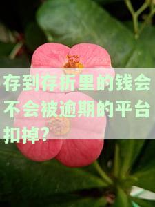 存到存折里的钱会不会被逾期的平台扣掉?