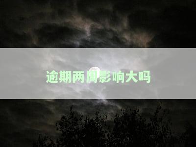 逾期两周影响大吗