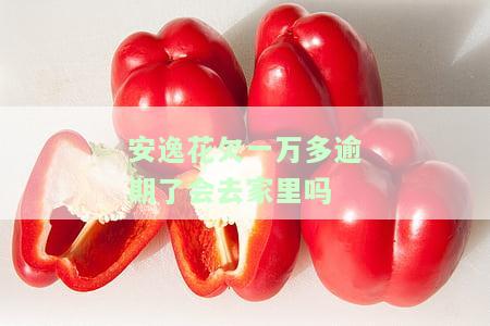 安逸花欠一万多逾期了会去家里吗