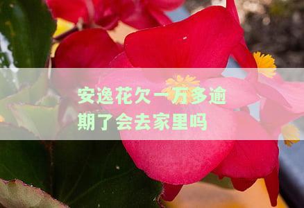 安逸花欠款一万多逾期两个月会通知当地，逾期一个月会联系当地法院吗？逾期两个月发来报案通告坐一年，欠一万逾期两个月会上门吗？