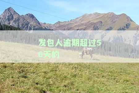 发包人逾期超过56天的