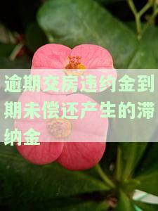 逾期交房违约金规定及法律意义