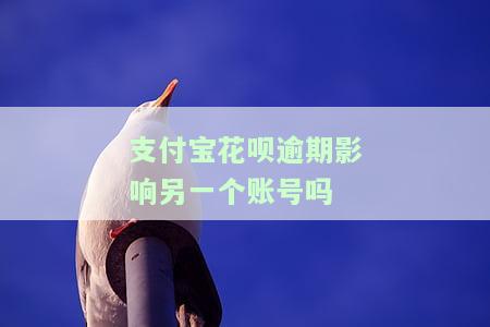支付宝花呗逾期影响另一个账号吗