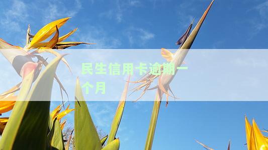 民生信用卡逾期一个月