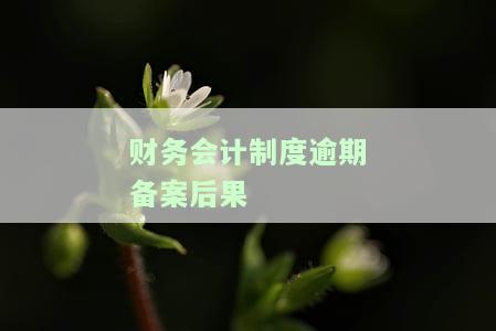财务会计制度逾期备案后果有哪些