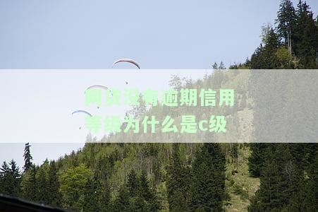 网贷没有逾期怎么会评分不足？急需资金的综合评分为何不好？