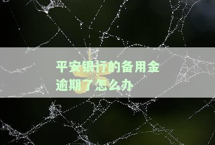 平安银行的备用金逾期了怎么办