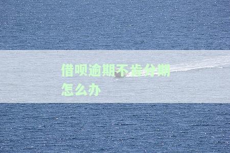借呗逾期已经不让分期了怎么办？