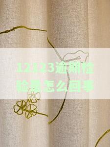 12123逾期检验是怎么回事