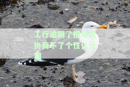 工行个性化分期收手续费合法吗？
