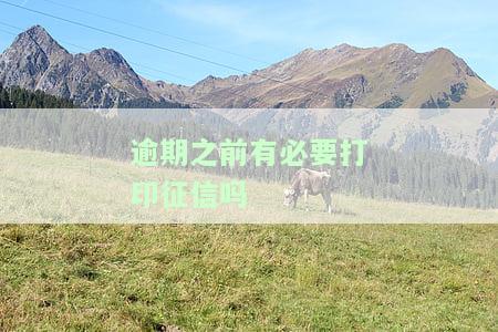 逾期之前有必要打印征信吗