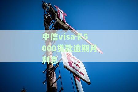 中信visa卡5000贷款逾期月利息