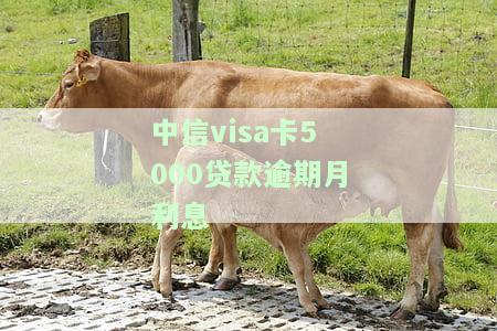 中信信用卡5000逾期一年多没还会怎么样？