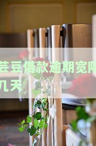 芸豆借款逾期宽限几天