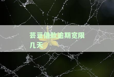 芸豆借款逾期宽限几天