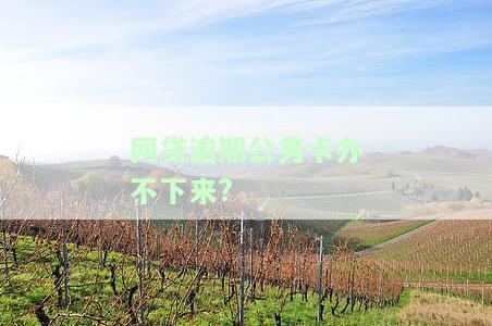 网贷逾期公务卡办不下来?