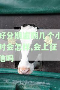 逾期几个小时会怎样,会上征信吗