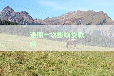 信用卡逾期一次影响贷款吗