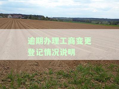 工商局变更情况表格模板