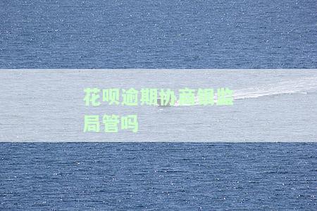 花呗逾期协商银监局管吗