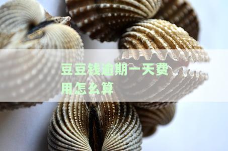 豆豆钱逾期一天费用怎么算