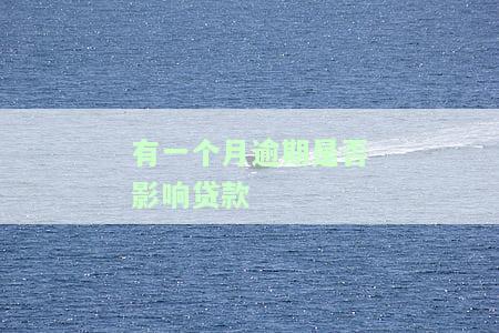 有过一个月逾期还款对贷款有影响吗？怎么办？