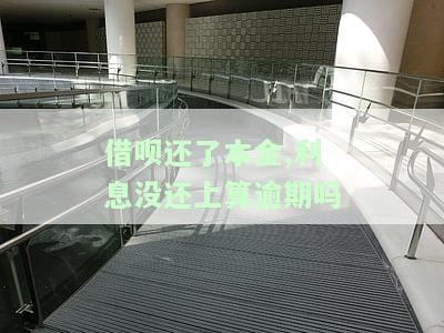 借呗还了本金还能借吗？现在能马上再借吗？
