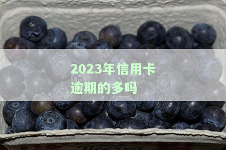 2023年信用卡逾期的多吗？