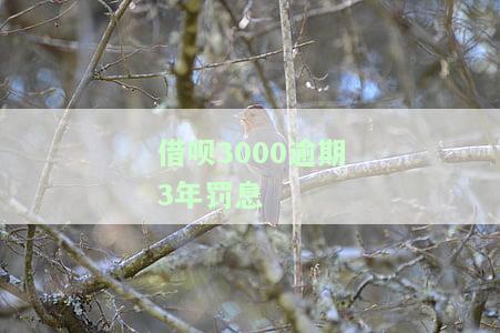 借呗逾期三年要还多少钱及利息，如何还款及还清后是否可继续使用？