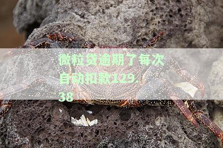 微粒贷逾期了每次自动扣款129.38元的处理方法