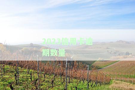 2021年信用卡逾期总人数及金额，2021年中国信用卡逾期人数，2020年信用卡逾期人数，2020年全国信用卡逾期总金额