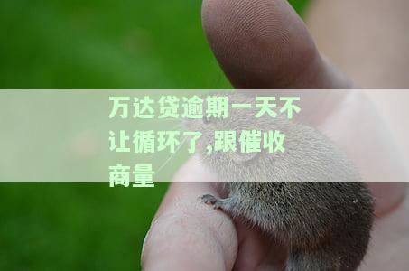 万达贷逾期了3天还款进去会不会拿不出来？