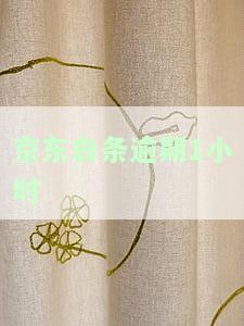 逾期1小时怎么办