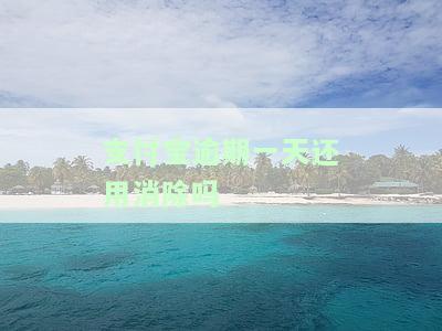 支付宝逾期一天还用消除吗