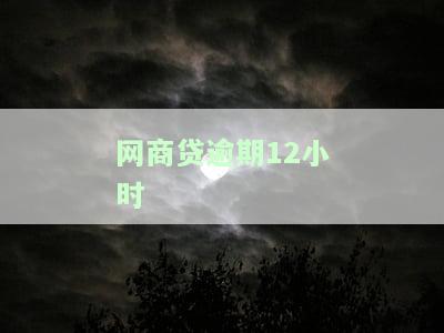 网商贷逾期12小时
