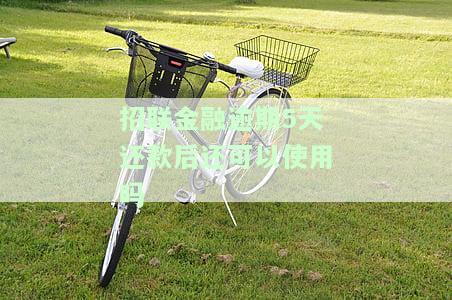 招联金融贷款逾期5天会有什么结果及对征信影响？