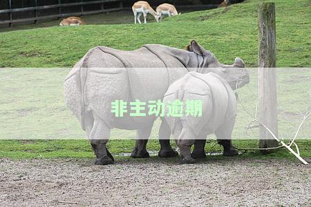 非主动逾期是否可以征信复议处理