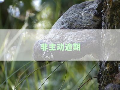 不是故意逾期的应怎么取消记录与解除征信逾期