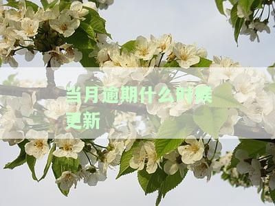 当月逾期下月几号显示个人征信允几次逾期，还款
