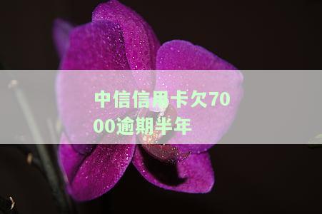 中信信用卡欠7000逾期半年