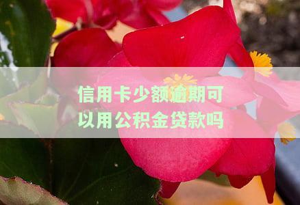 信用卡少额逾期可以用公积金贷款吗