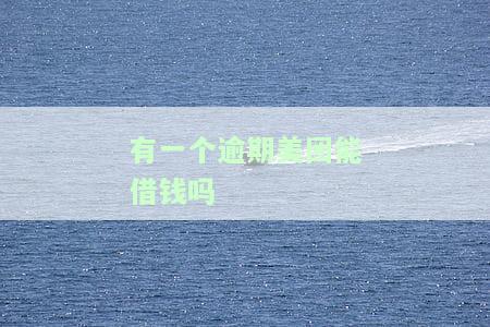 有一个逾期美团能借钱吗