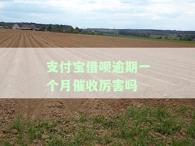 支付宝借呗逾期一个月催收害吗