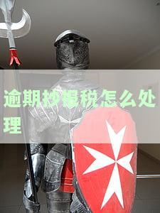 逾期抄报税怎么处理