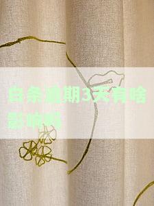 白条逾期3天有啥影响吗怎么办