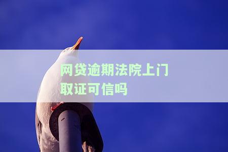 网贷逾期法院上门取证可信吗知乎