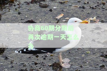 协商分期后还有宽限期吗？