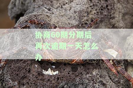 协商60期分期后再次逾期一天怎么办