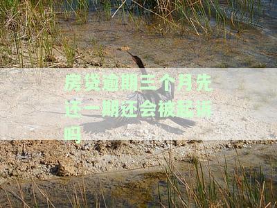 房贷逾期三个月先还一期还会被起诉吗