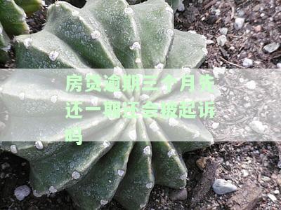 房贷逾期三个月先还一个月可以吗，怎么还？
